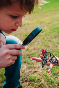 Curious child examining a butterfly, exploring his interests and curiosities embracing learning experiences
