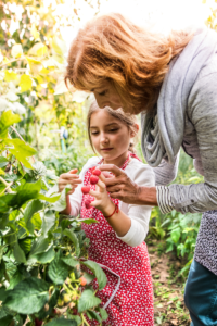 MOm and child gardening, building their relationship and thriving rather than punishing. Using positive consequences to guide behavior